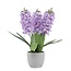 Hyacinth Artificial flower in cement pot | Colour: Purple | Length ± 40 centimeter | 3 hyacinths per pot | Per pot