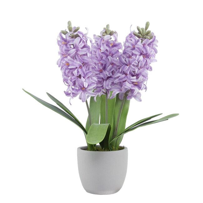 Hyacint Kunstbloem in cementen pot | Kleur: Paars | Lengte ± 40 centimeter | 3 hyacinten per pot | Per pot
