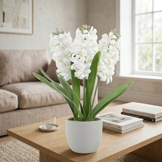 Arti Flora Hyacint Kunstbloem in cementen pot | Kleur: Natuurlijk Wit | Lengte ± 40 centimeter | 3 hyacinten per pot | Per pot