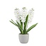 Hyacint Kunstbloem in cementen pot | Kleur: Natuurlijk Wit | Lengte ± 40 centimeter | 3 hyacinten per pot | Per pot