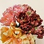 Parakeet Tulip Artificial Flower | Colour: Pink | Length ± 65 centimetre | 5 stems per bunch | Per bunch