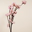 Cherry Blossom Artificial Flower | Colour: Pink | Prunus artificial flowers | Length ± 135 centimetre | Per artificial flower