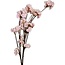 Cherry Blossom Artificial Flower | Colour: Pink | Prunus artificial flowers | Length ± 135 centimetre | Per artificial flower