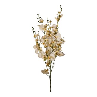 Arti Flora Orchid Artificial Flower "Dansende Dame"| Colour: Natural White | Oncidium artificial flowers | Length ± 100 centimeter | Per artificial flower