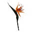 Bird of Paradise artificial flower | Colour: Orange | Strelitzia artificial flowers | Length ± 80 centimetre | Per artificial flower
