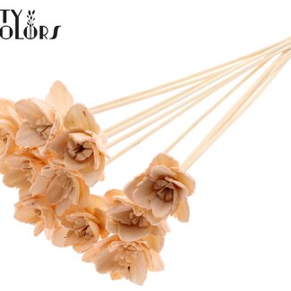 QC Shola Queen Bloem op stok | Kleur: Zalmkleurig | Shola Queen Flower | Lengte ± 50 centimeter | 10 bijstekers per bos