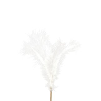4A Feather Stake | Colour: Natural White | Feather length 10 centimeter | Stake length ± 50 centimeter | Per 25 stakes
