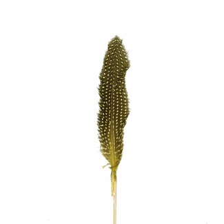 4A Hen Feather Pick | Colour: Yellow-brown | Feather length 20 centimeter | Pick length ± 12 centimeter | Per 24 picks
