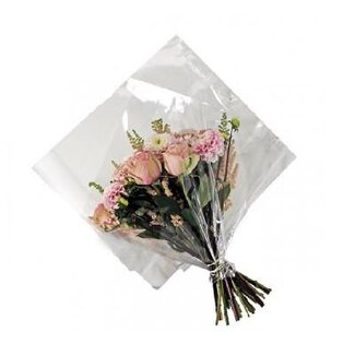 4A Covers Quadra OPP35 | 70% Recycled Plastic | Colour: Transparent | Length 35 centimetre | Height 35 centimetre | Per 100 covers