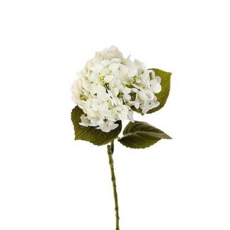 4A Hydrangea artificial flower | Colour: Natural White | Hydrangea artificial flowers | Length ± 63 centimeter | Per 6 artificial flowers