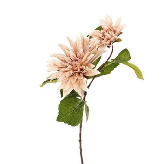 4A Dahlia artificial flower “Karma” | Colour: Champagne-coloured | Dahlia Karma | Length ± 71 centimetre | Per 10 artificial flowers