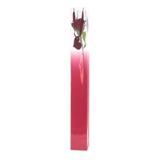 4A Tasje voor 1 Roos | Kleur: Rood | Lengte 7 centimeter | Breedte 7 centimeter | Hoogte 60 centimeter | Per 10 tasjes