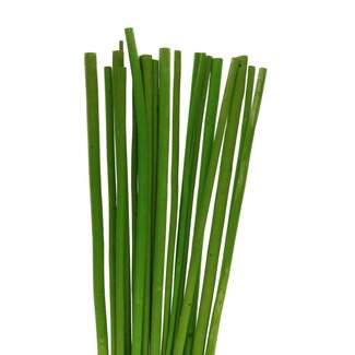 4A Dried bamboo stick | Colour: Apple green | Length ± 100 centimetres | Per 20 sticks