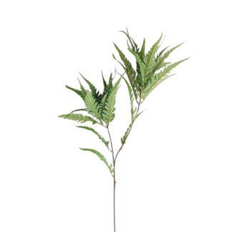 4A Fern Artificial Flower | Colour: Green | Length ± 95 centimetre | Per 6 artificial flowers