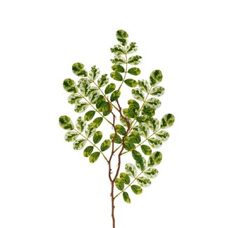 4A Vijgenblad Kunstbloem | Kleur: Groen Wit | Ficus Kunstbloemen | Lengte ± 65 centimeter | Per 10 kunstbloemen