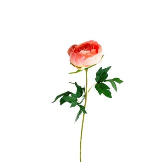 4A Peony Artificial flower | Colour: Pink | Paeonia Artificial flowers | Length ± 65 centimetre | Per 10 artificial flowers