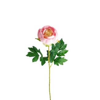 4A Peony Artificial Flower | Colour: Light pink | Paeonia Artificial Flowers | Length ± 65 centimetre | Per 10 artificial flowers