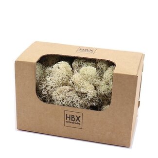 4A Gepreserveerd Rendiermos | Kleur: Natuurlijk Wit | Droogdecoratie | Gewicht 50 gram | Per doosje