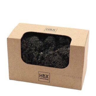 4A Preserved Reindeer Moss | Colour: Black | Dried decoration | Gewicht 50 gram | Per box