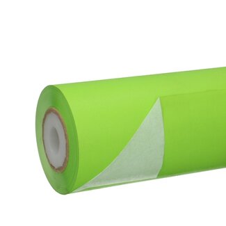 4A Papier op rol | Kleur: Lichtgroen | Breedte 25 centimeter | 50 gram/m2 | Gewicht 1.25 kilo | Per rol