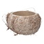 Gedroogde Kokosnoot Schaal Helft | Kleur: Natuurlijk Wit | Droogdecoratie | Per 3 schalen