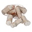Getrocknetes Birkenholz | Farbe: Natuurlijk Weiß | Trocken-Dekoration | Länge ± 7 centimeter | Pro 250 gram