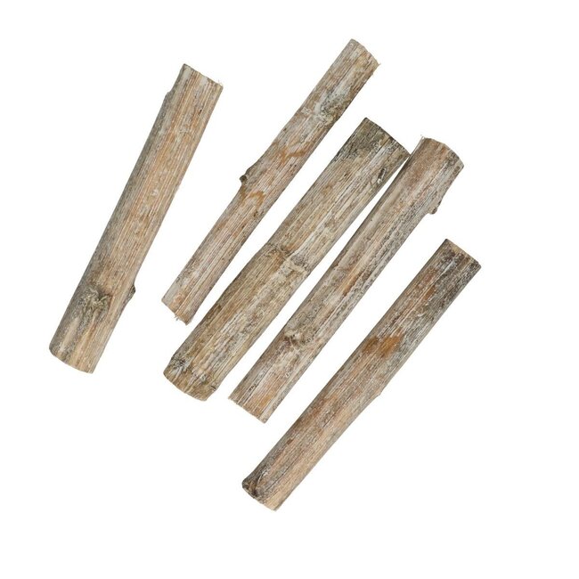 Getrocknete Sonnenblumenstängel | Farbe: Hellbraun | Trocken-Dekoration | Länge ± 20 Zentimeter | Pro 16 Stiele