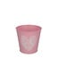 Zinc Plant Pot “Lovebird” | Colour: Pink | Diameter 12.5 centimetre | Height 11.5 centimetre | Per 10 plant pots