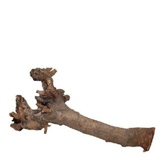 4A Dried Kuwa Root | Colour: Brown | Dry decoration | Length 40 centimeter | Per root