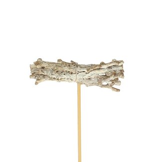 4A Botay Twigs on stick | Colour: Natural White | Diameter 8 centimeter | Length ± 50 centimeter | Per 25 filler picks