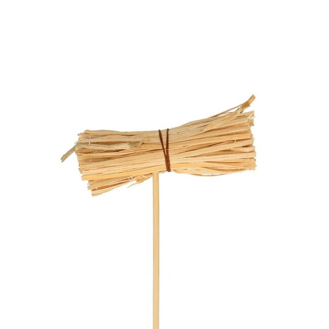 Wood plane on stick | Colour: Light brown | Diameter 8 centimetre | Length ± 50 centimetre | Per 25 auxiliary stakes