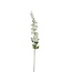 Delphinium Artificial Flower | Colour: Natural White | Delphinium Artificial Flowers | Length ± 78 centimeter | Per 12 artificial flowers