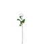 Rose Kunstblume | Farbe: cremefarben | Rosen Kunstblumen | Länge ± 69 centimeter | Pro 12 Kunstblumen