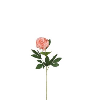 4A Peony Artificial flower | Colour: Salmon-coloured | Paeonia Artificial flowers | Length ± 76 centimeter | Per 12 artificial flowers