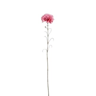 4A Anjer Kunstbloem | Kleur: Donkerroze | Dianthus Kunstbloemen | Lengte ± 66 centimeter | Per 12 kunstbloemen