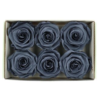 4A Gepreserveerde Rozen | Kleur: Grijs | Diameter 6 centimeter | Per 6 rozen