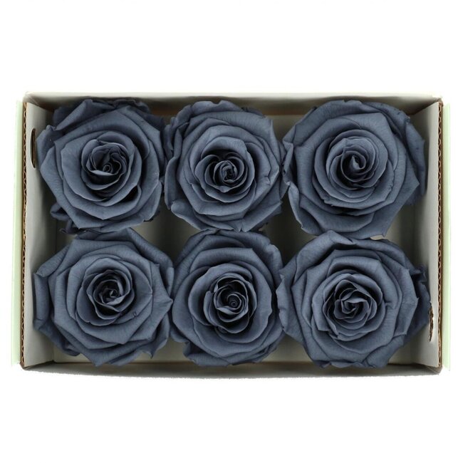 Preserved Rose | Colour: Grey | Diameter 6 centimeter | Per 6 roses