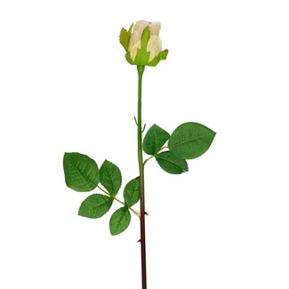 4A Roos Kunstbloem | Kleur: Crèmekleurig | Rozen Kunstbloemen | Lengte ± 46 centimeter | Per 24 kunstbloemen