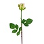 Rose Artificial Flower | Colour: Cream-coloured | Roses Artificial Flowers | Length ± 46 centimeter | Per 24 artificial flowers