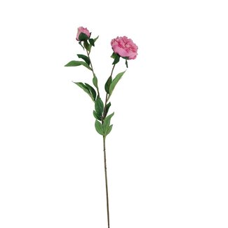 4A Peony Artificial Flower | Colour: Dark pink | Length ± 87 centimeter | Per 12 artificial flowers