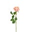 Rose Artificial Flower | Colour: Pink | Rose Artificial Flowers | Length ± 54 centimetre | Per 6 artificial flowers