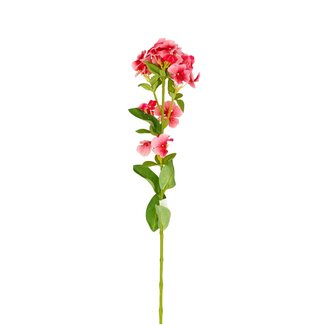 4A Flame flower artificial flower | Colour: Pink | Phlox artificial flowers | Length ± 71 centimetre | Per 6 artificial flowers