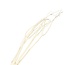 Dried Mitsumata Branches | Colour: Natural White | Dried decoration | Length ± 115 centimeter | 3 branches per bunch | Per bunch