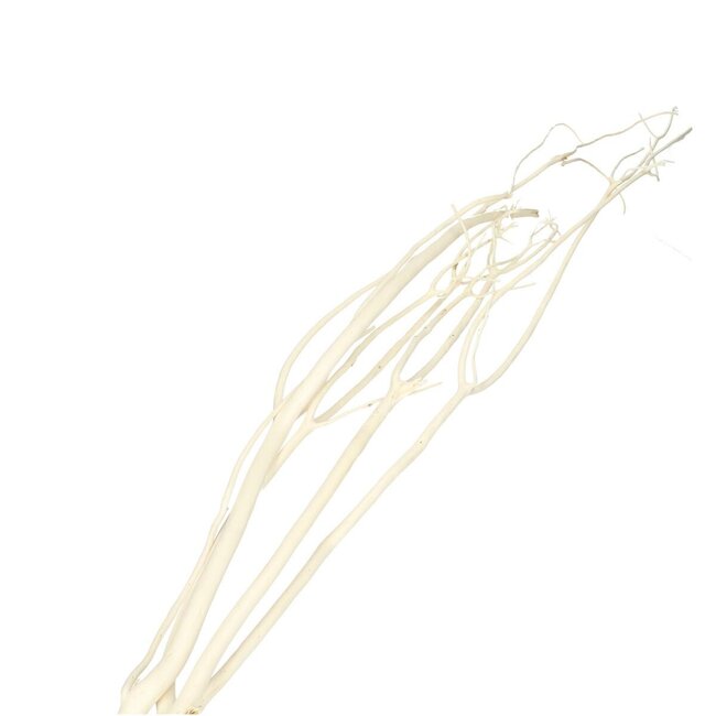 Gedroogde Mitsumata Takken | Kleur: Natuurlijk Wit | Droogdecoratie | Lengte ± 115 centimeter | 3 takken per bos | Per bos
