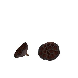 4A Dried Lotus Seed Pods | Colour: Brown | Dried Decoration | Diameter 6 - 8 centimetre | Per 50 seed pods