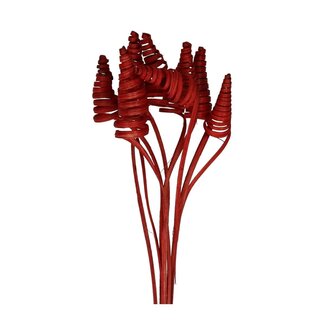 4A Palm Spiraal op steel | Kleur: Rood | Cane Cone Bijsteker | Lengte ± 50 centimeter | Per 10 bijstekers