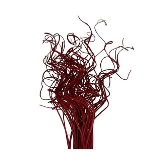 4A Gedroogd Palmblad Nerf | Curly Ting Ting | Kleur: Rood | Droogdecoratie | Lengte ± 70 centimeter | Gewicht 200 gram | Per bos