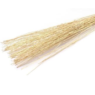 4A Gedroogde Yanagi Takken | Kleur: Goudkleurig | Droogdecoratie | Gewicht 250 gram | Lengte 85 centimeter | Per bos