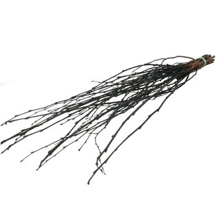 4A Dried Birch Branches | Colour: Black | Dry decoration | Length ± 70 centimetres | Per 10 branches