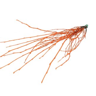 4A Dried Birch Branches | Colour: Orange | Dried decoration | Length ± 70 centimeter | Per 10 branches